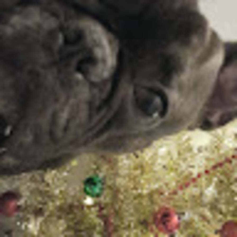 Meet your Posher, Maddy